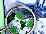 KHẮC PHỤC TÁC HẠI CỦA COLIFORM TRONG NƯỚC THẢI
