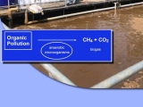 BỂ SINH HỌC KỴ KHÍ UASB. ƯU NHƯỢC ĐIỂM CỦA BỂ UASB TRONG XỬ LÝ NƯỚC THẢI