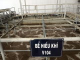 VẬN HÀNH BỂ HIẾU KHÍ