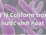 Cách xử lý coliform trong nước sinh hoạt hiệu quả hiện nay