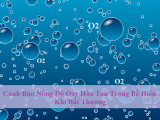 DẤU HIỆU NỒNG ĐỘ OXY HÒA TAN TRONG BỂ HIẾU KHÍ BẤT THƯỜNG