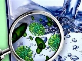 KHẮC PHỤC TÁC HẠI CỦA COLIFORM TRONG NƯỚC THẢI