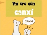 VAI TRÒ CỦA CANXI ĐỐI VỚI CƠ THỂ MÀ BẠN KHÔNG NGỜ TỚI