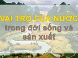 VAI TRÒ CỦA NƯỚC TRONG ĐỜI SỐNG VÀ SẢN XUẤT