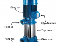CẤU TẠO BƠM LY TÂM TRỤC ĐỨNG: ƯU ĐIỂM VÀ NGUYÊN LÝ HOẠT ĐỘNG